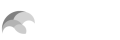 LIMN 